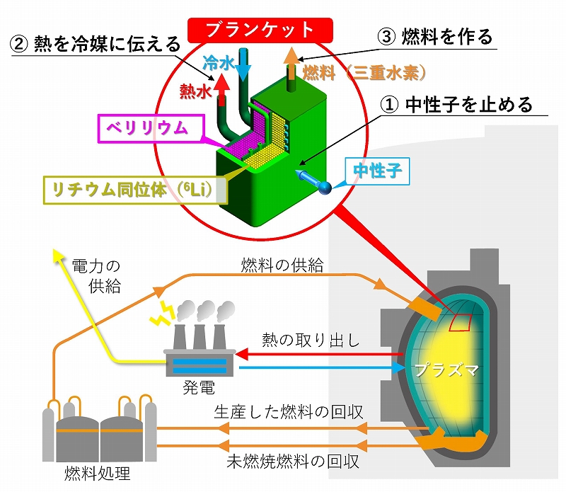 ブランケット コレクション ヘリカル型