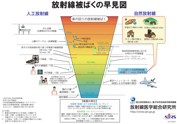 放射線被ばくの早見図